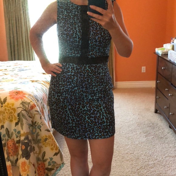 Blue and Black leopard print dress - Picture 5 of 5